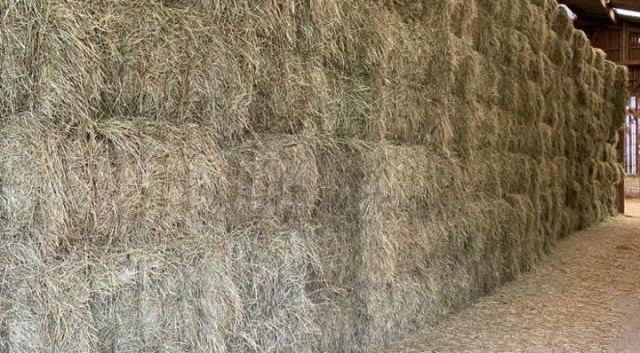 Weidehooi,, grote balen geneden