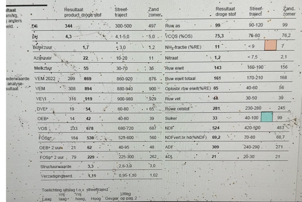Te Koop 120 ton gehakseld kuilgras 34%DS 894VEM 99RAS 161RET RAS99