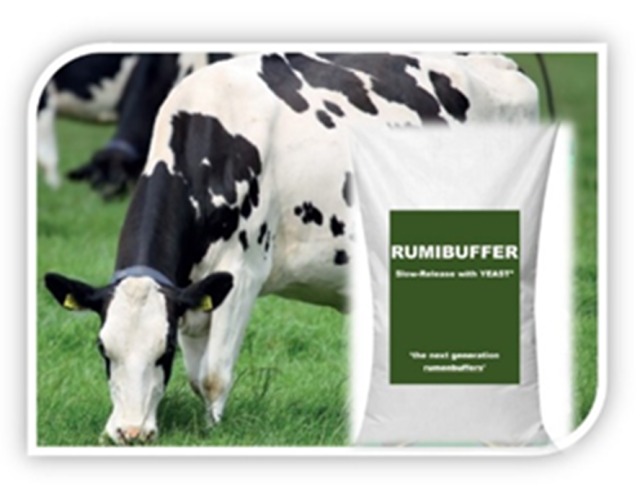 RUMIBUFFER Slow Release + Yeast(2) Natriumbic 2.0